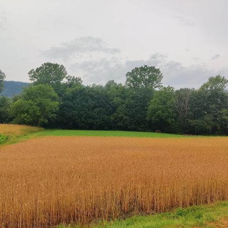 Agriturismo Munarin Caterina Mioglia 외부 사진