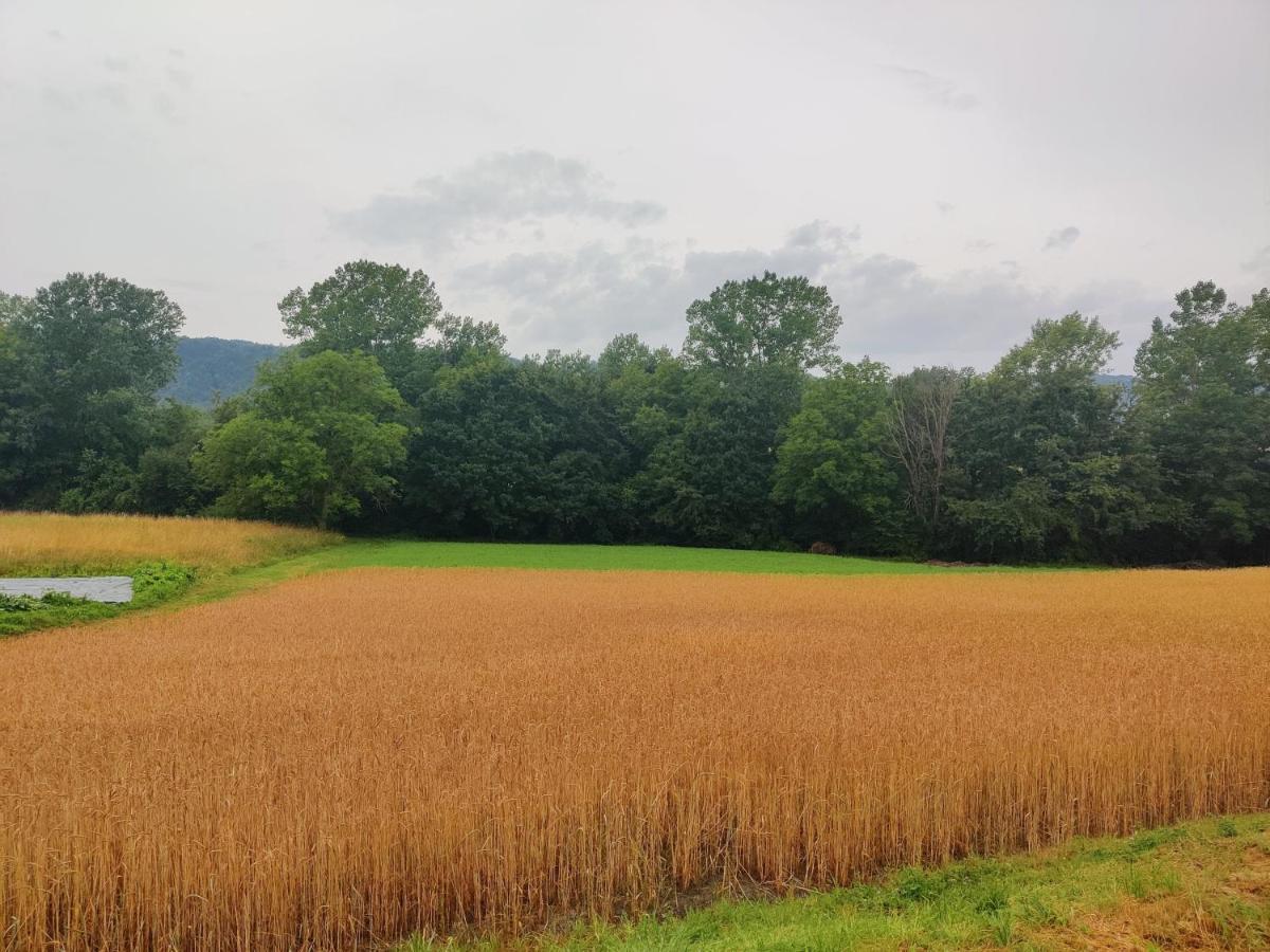 Agriturismo Munarin Caterina Mioglia 외부 사진